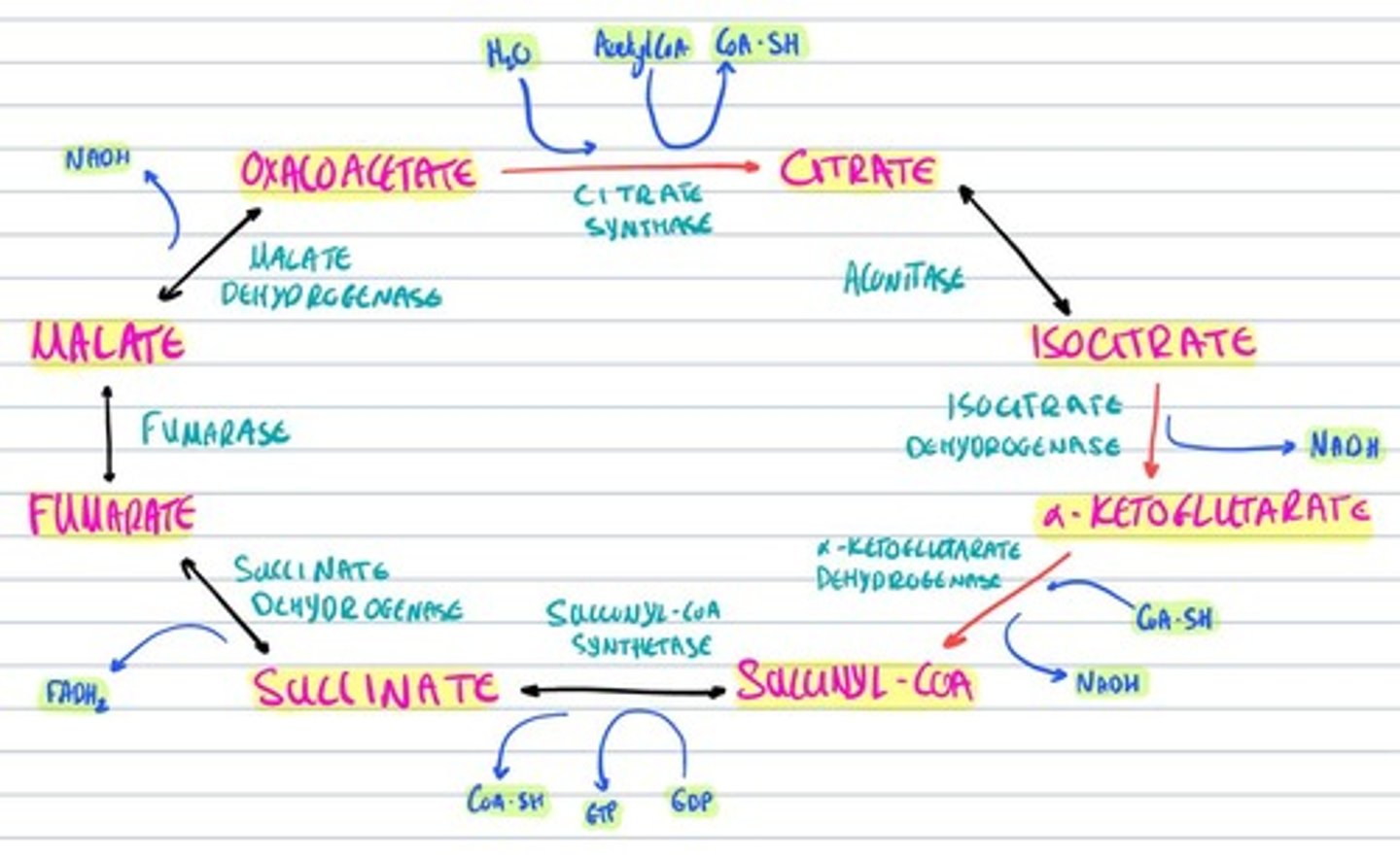 knowt flashcard image