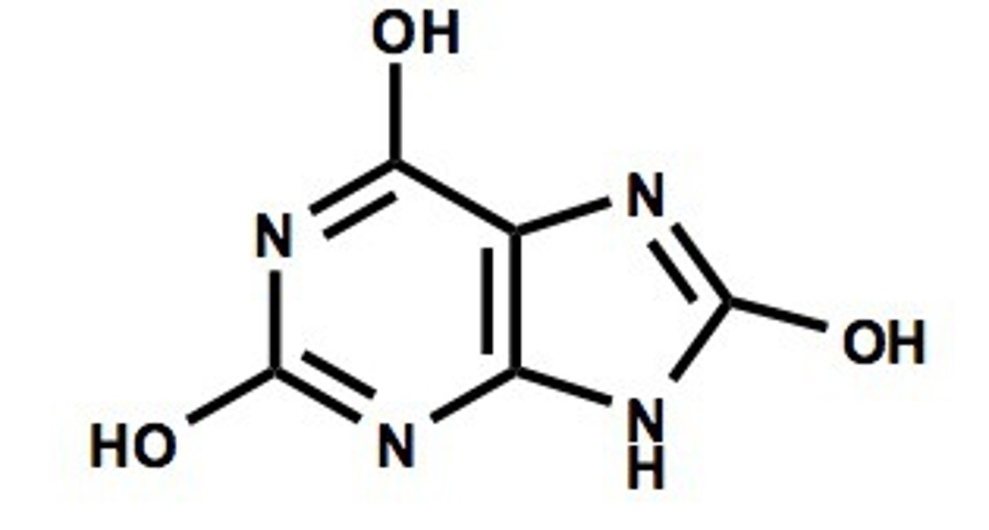 <p>product of the purine degredation: nitrogenous waste excreted in the urine</p>