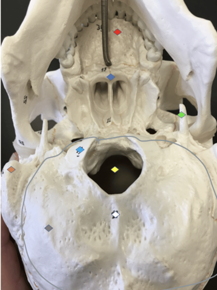 <p>Grey circle</p>