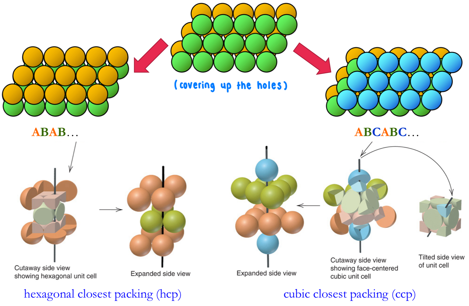 <ul><li><p>both: types of closest packing in 3D, have CN of 12 + packing efficiency of 74%</p></li><li><p>hcp:</p><ul><li><p>layer stacking sequence: ABAB…</p></li><li><p>makes a hexagonal unit cell</p></li></ul></li><li><p>ccp:</p><ul><li><p>layer stacking sequence: ABCABC…</p></li><li><p>makes a cubic unit cell (same as FCC)</p></li></ul></li></ul><p></p>