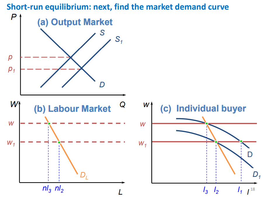 <p>the equilibrium price of the goods is determined by supply and demand in the output market</p><p>this price determines the MRPL for an individual buyers of labour  which determines demand (as demand and MRPL are equal)</p><p>The labour demanded by an individual buyer at each wage rate is determined by the subsequent change in price (as if wage rate decreases, supply of output increases which causes price to fall) which shifts the Demand/MRPL curve down)</p><p>the number of firms in the market (n) multiplied by the labour each firm demands at each wage rate (L, L2, L3 ETC.) makes up the labour demand curve in the labour market</p><p>then you add the labour supply curve and the intersection determines the short-run equilibrium </p>