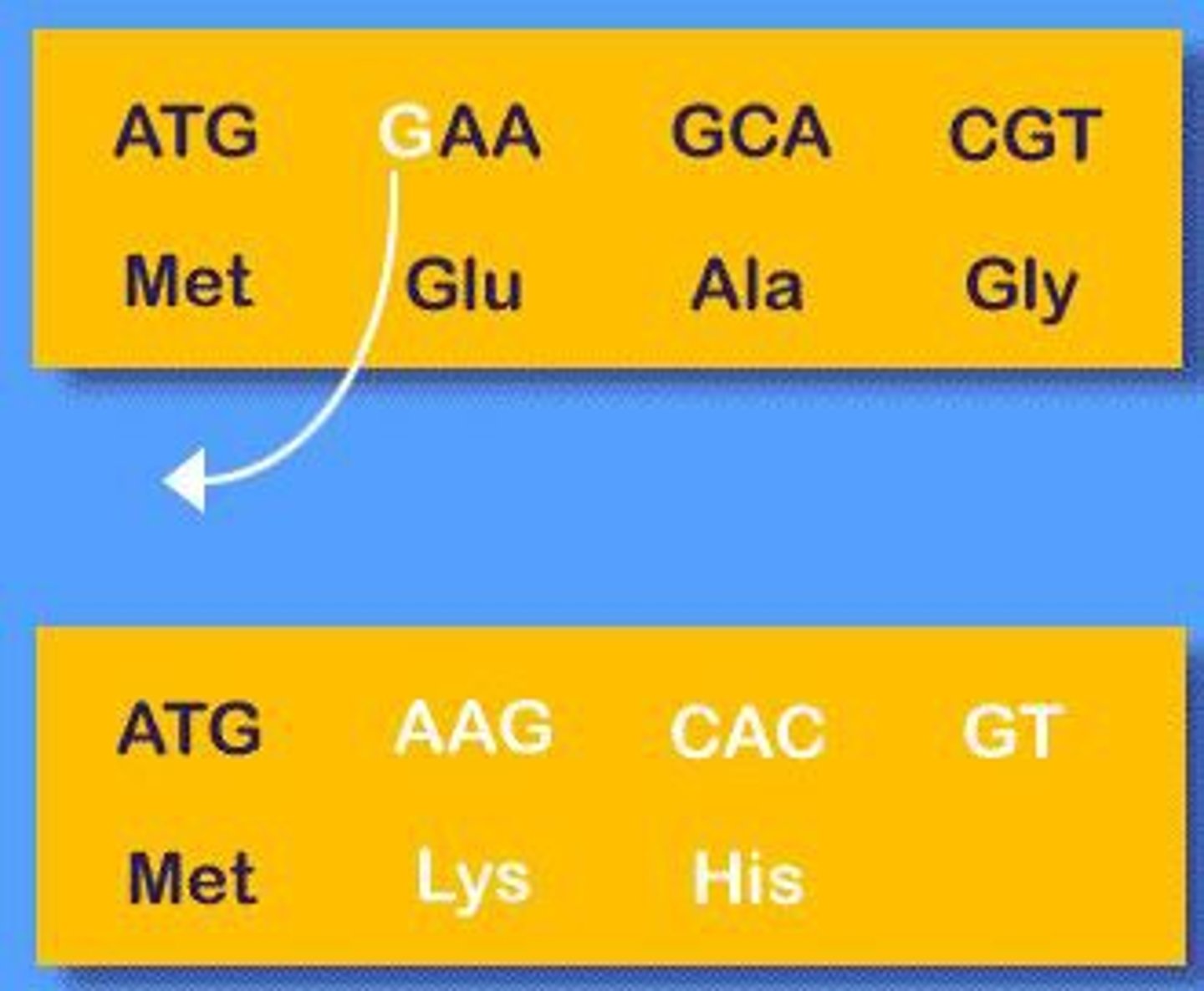 <p>Occurs when a nucleotide is added or removed which causes a change in the codon which causes a change in the amino acid(s). This is the worst type of mutation because it changes many amino acids.</p>
