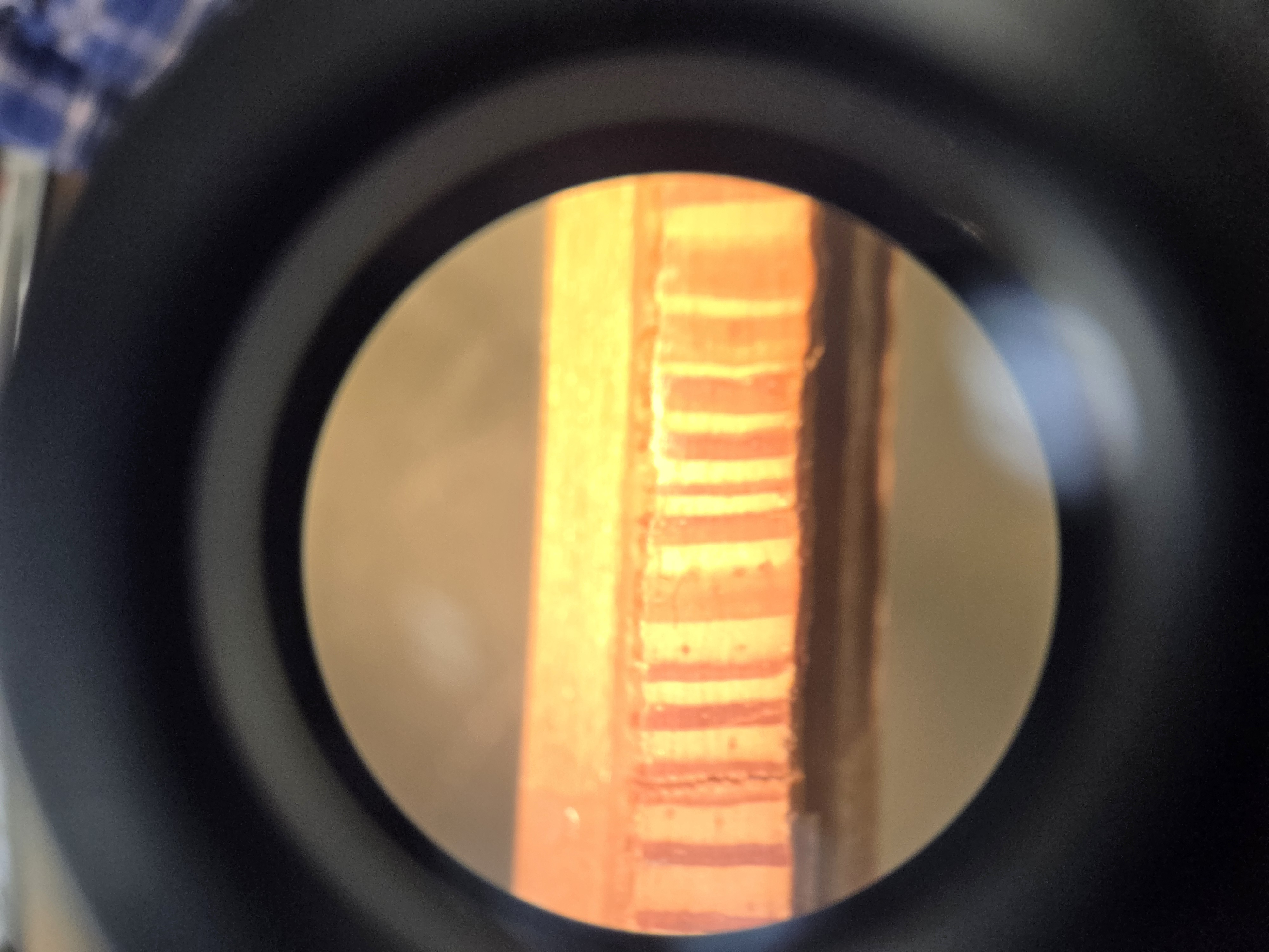 <p>What is this, and what is showing?</p>