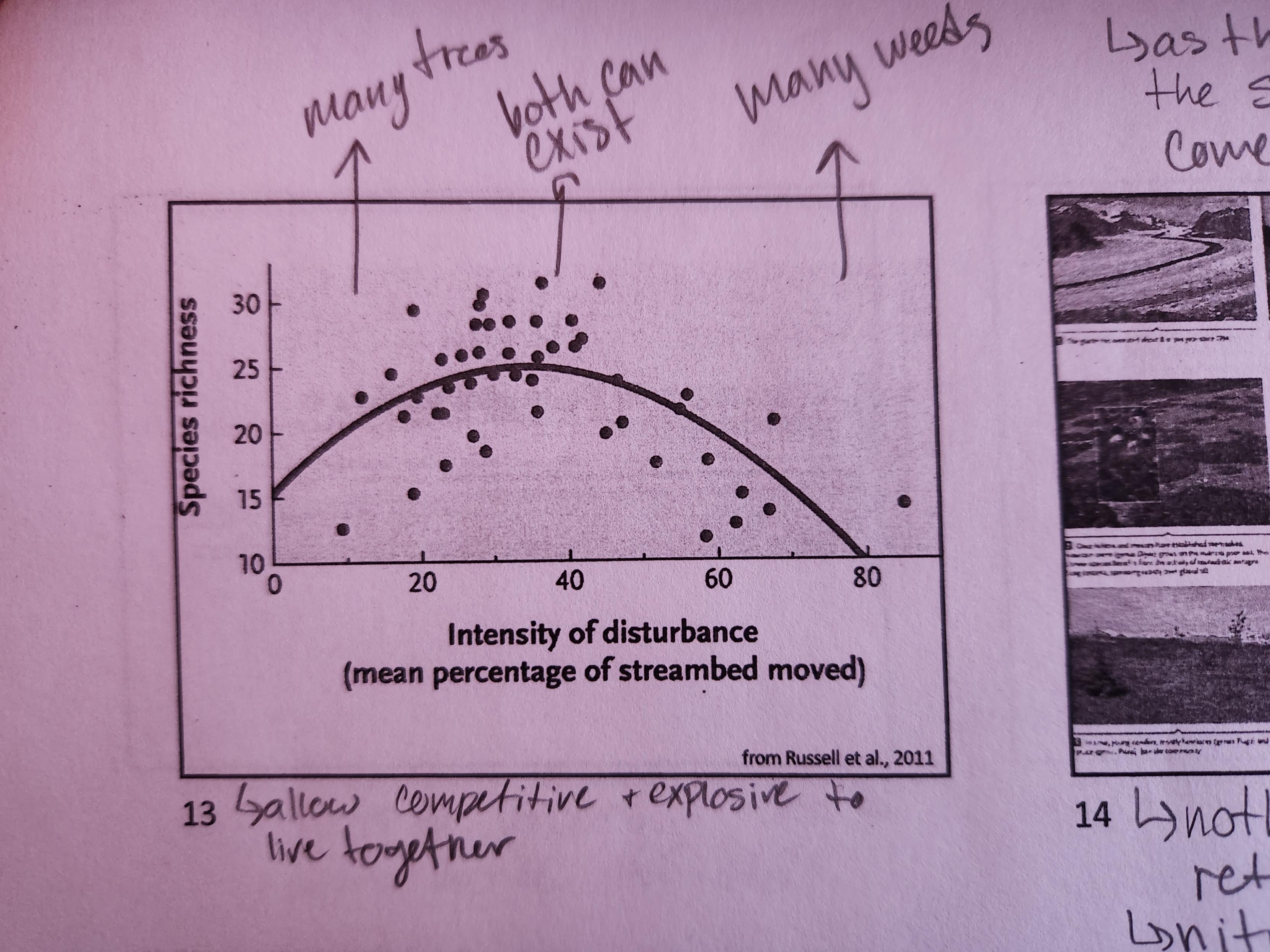 <p>Intermediate levels of disturbance allow greatest biodiversity. R types exploit areas quickly and poorly, favoring high disturbance. K types use competition to outlive things, favoring low disturbance. With intermediate disturbance, both can exist in greater numbers.</p>