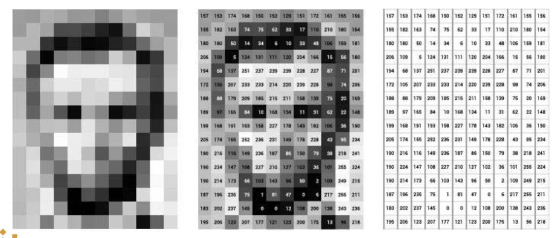 <p>Computers work with numbers </p><ul><li><p>Images are arrays of numbers (RGB values for each pixel)</p></li><li><p>every pixel has a depth and a further grey scale, computer understands numerical values</p></li><li><p>number of pixels gives you number of features in dataset</p></li></ul><p></p>