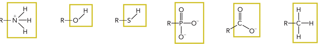 <p>Name the functional groups </p>