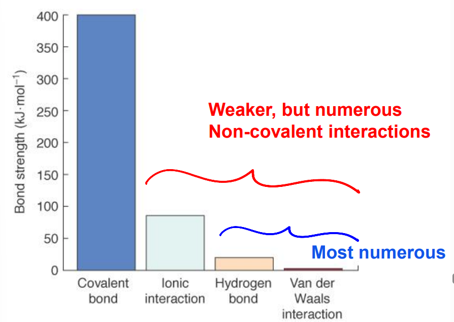 <ul><li><p>An interaction may be weak. </p></li><li><p>However, if there is a high amount of LD forces, they become strong together. </p></li></ul><p></p>