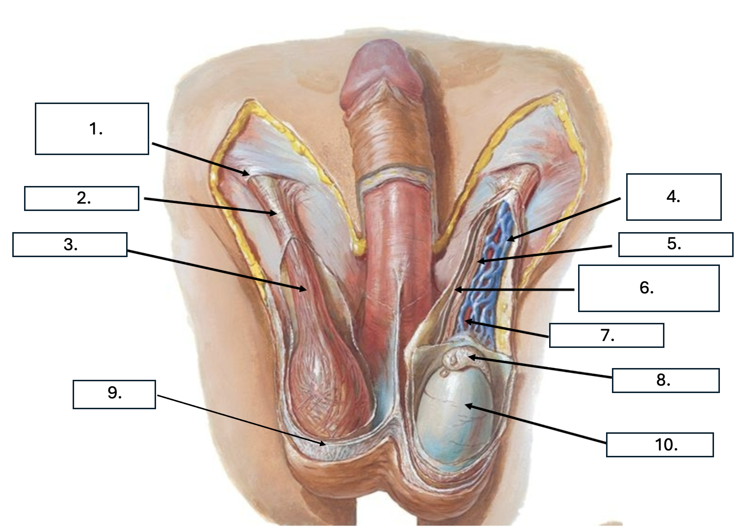 <p>What is number 3?</p>