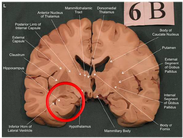 <p>What is this?</p>