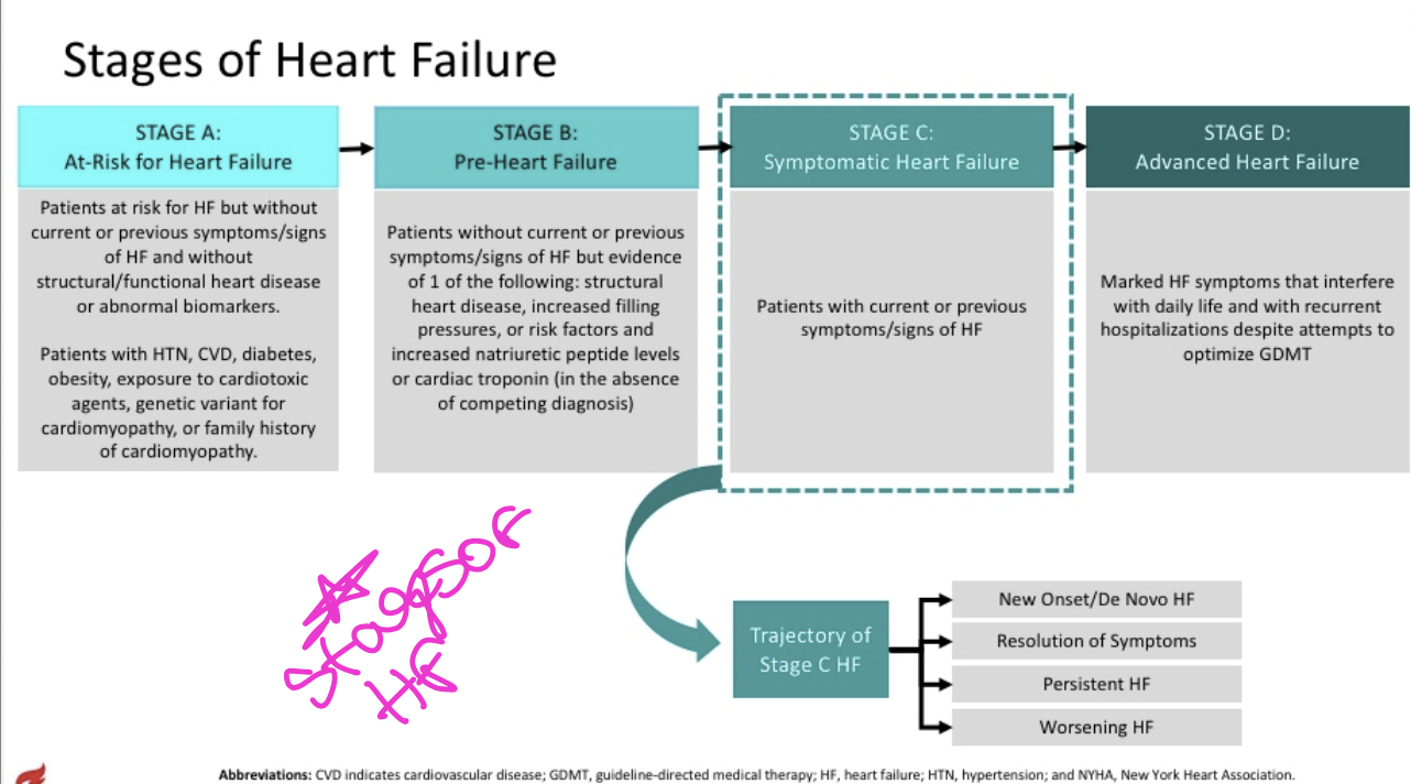<p>Classifications and stages of heart failure</p>