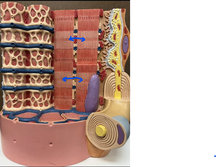 <p>What is this?</p>