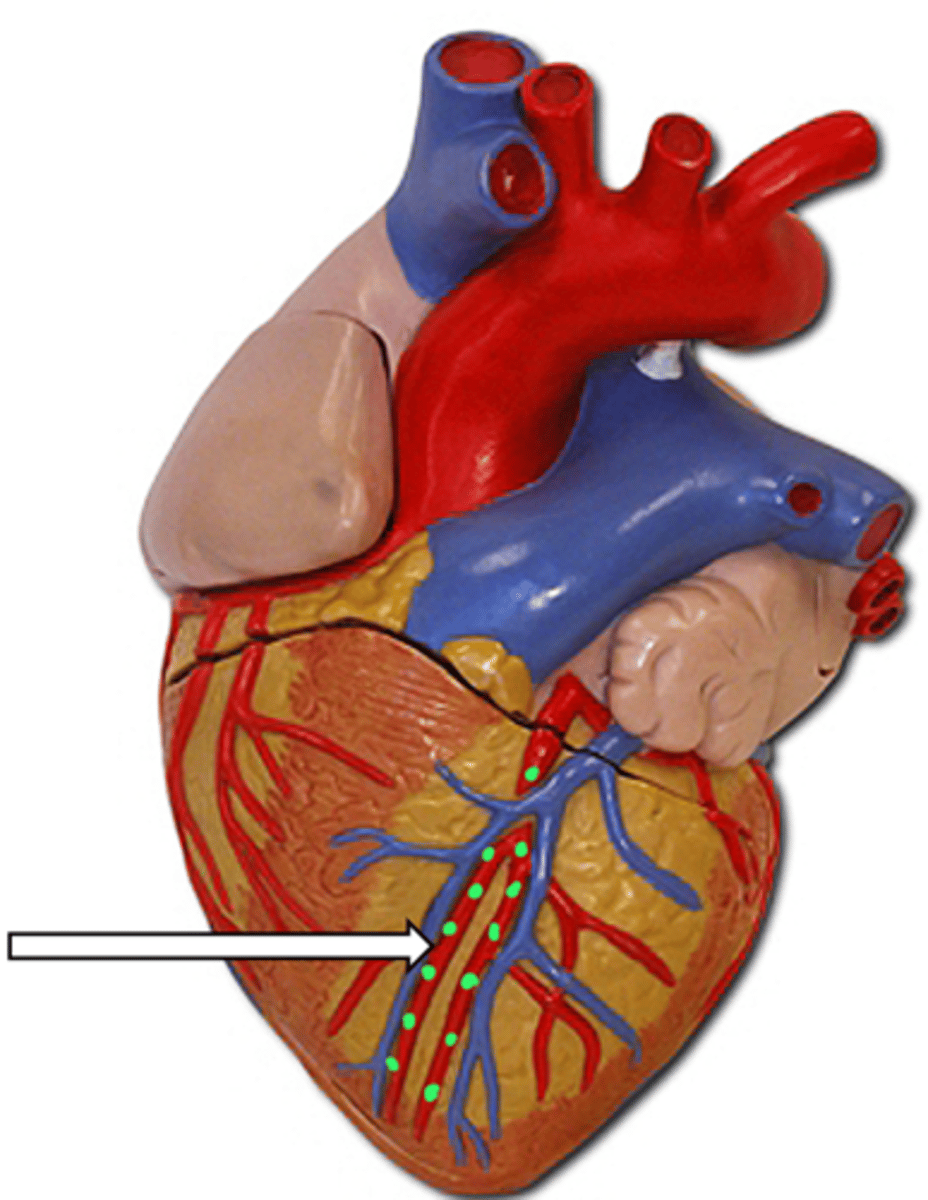<p>name the structure</p>
