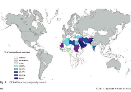 <p>Endogamy is widely practiced across the greater Middle East</p>