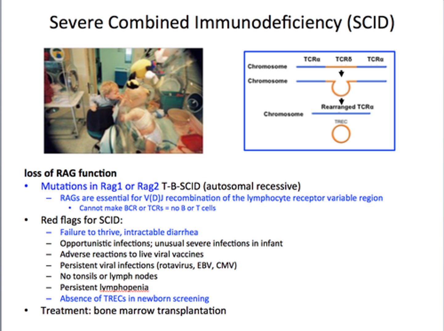 <p>NO B and T cells</p><p>- FATAL if untreated</p>