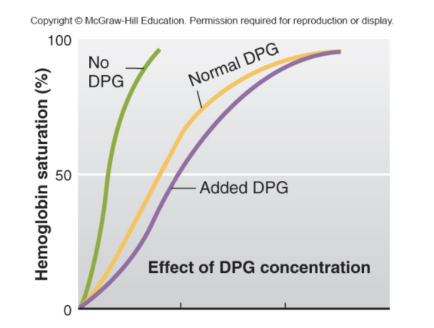 <p>more DPG = less affinity</p><p>less DPG = more affinity</p><p></p><p>2,3-DPG binds to hemoglobin, reducing its affinity for oxygen. This promotes the release of oxygen from hemoglobin into tissues that need it.</p><p></p><ul><li><p class="">In the <strong>lungs</strong>, oxygen binds to hemoglobin (forming oxyhemoglobin) with a high affinity.</p></li><li><p class="">In the <strong>tissues</strong>, where oxygen is needed, 2,3-DPG binds to hemoglobin, causing a conformational change that lowers hemoglobin's affinity for oxygen, allowing oxygen to be released and delivered to the tissues.</p></li></ul><p></p>