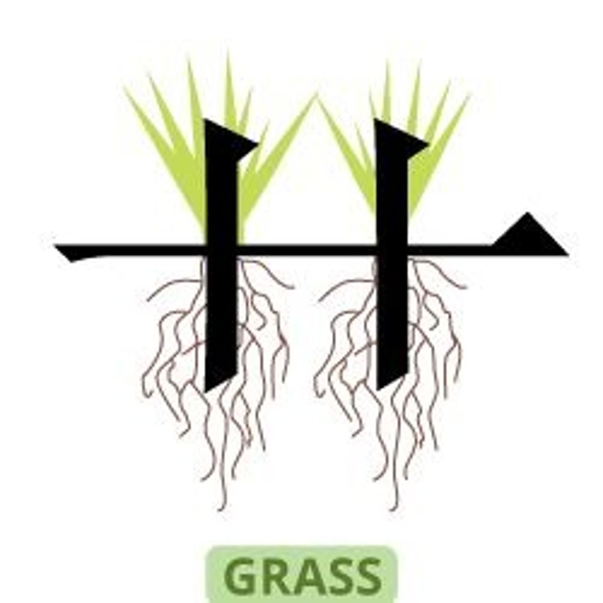 <p>cǎo - grass</p>