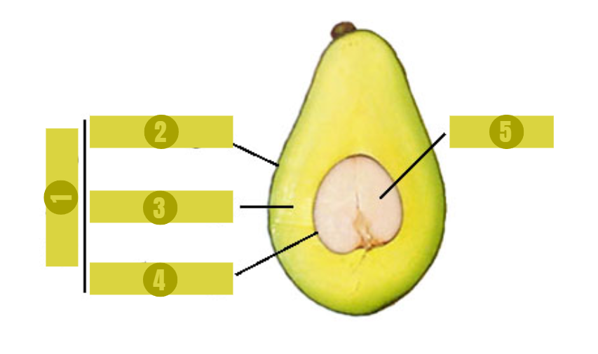 <p>4</p>