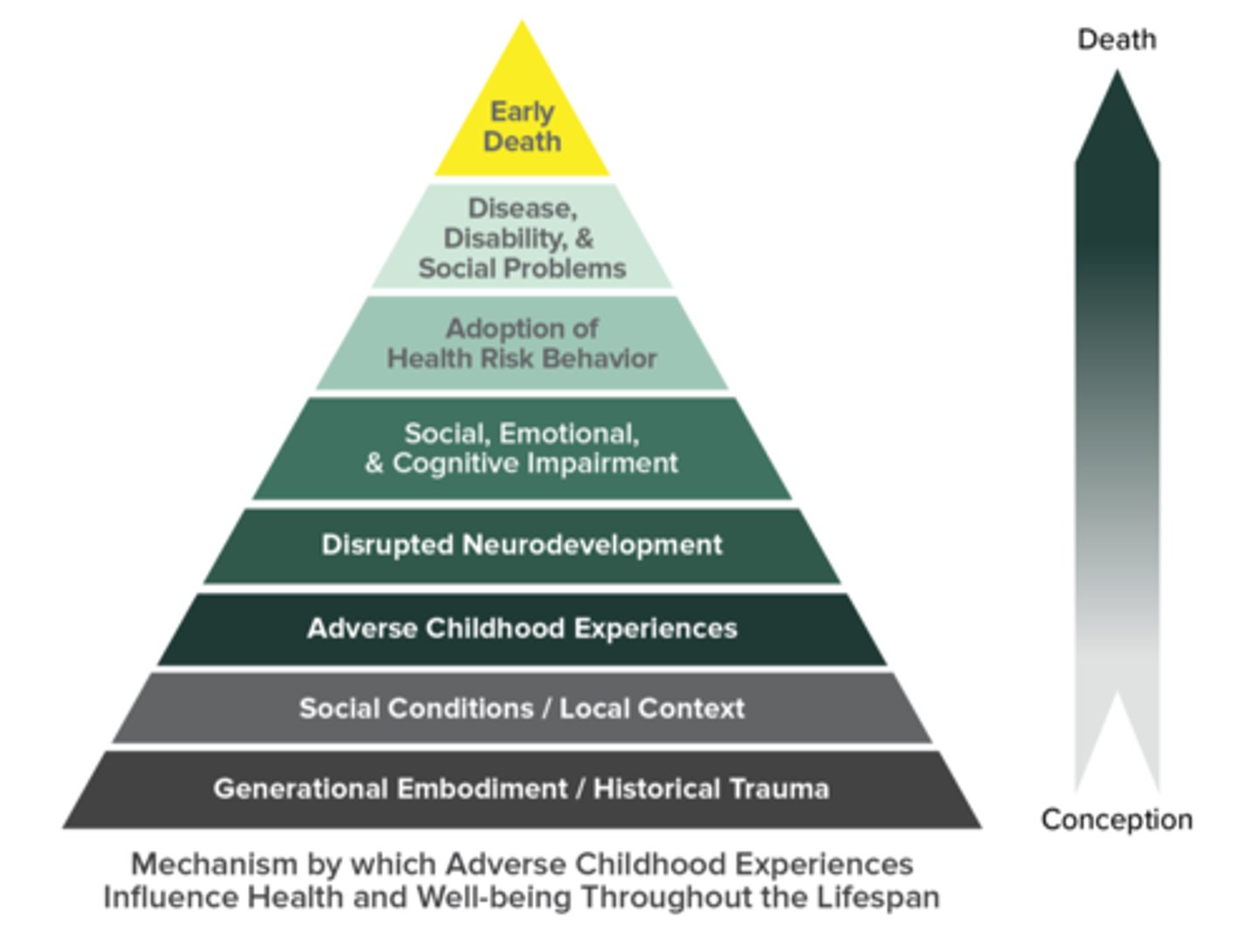 <p>added disrupted neurodevelopment and prenatal environment, then added generational embodiment/historical trauma and social conditions/local contexts</p>