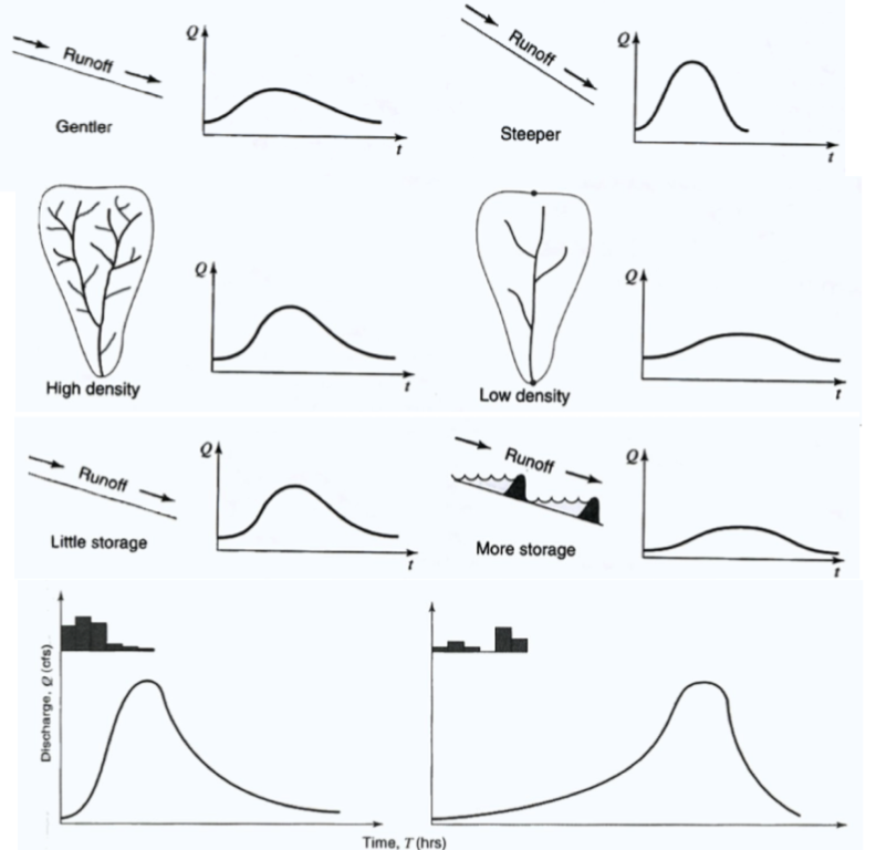 factors that affect the shape of the hydrograph