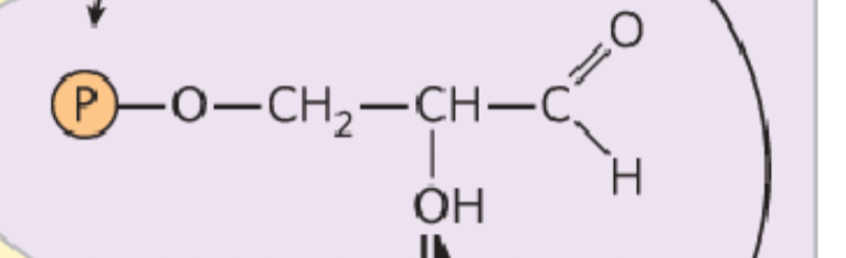 <p>What structure is this?</p>