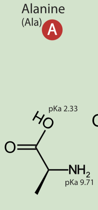 <p>non polar hydrophobic</p>