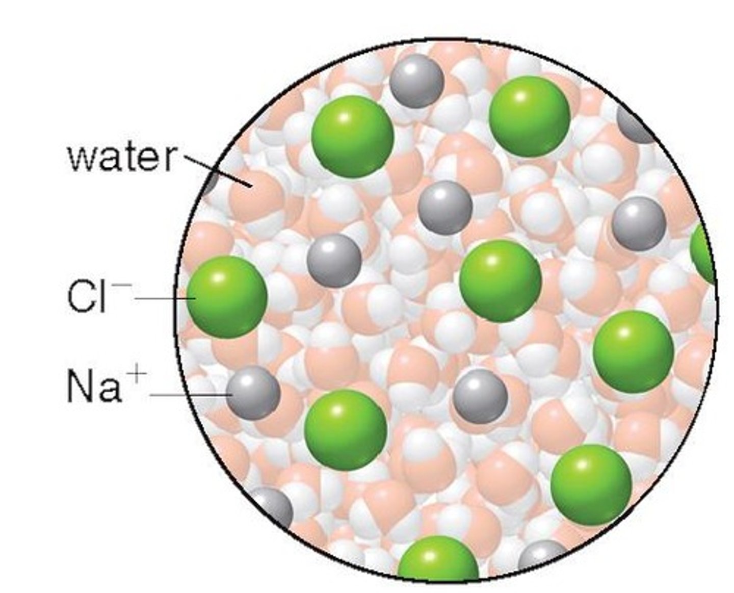 <p>Ionic bonds tend to break in water, losing their structural integrity.</p>