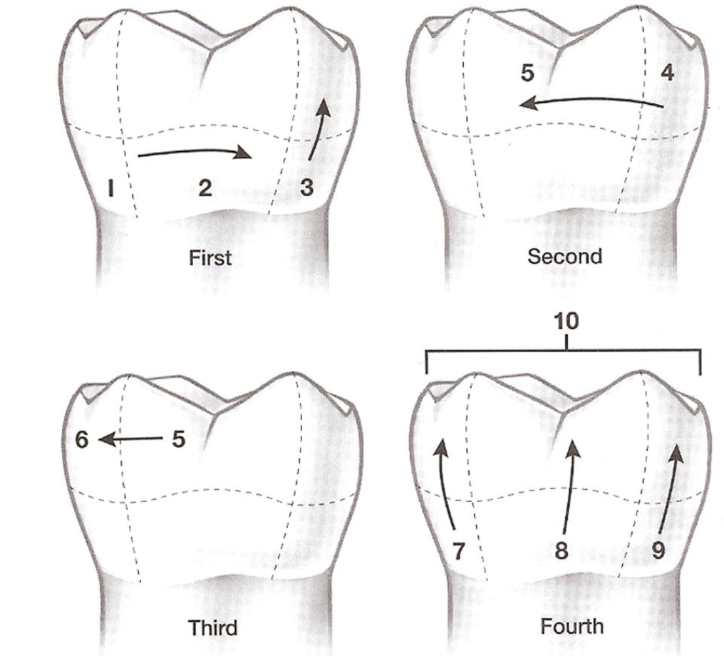 <p>Process of Polishing: </p>