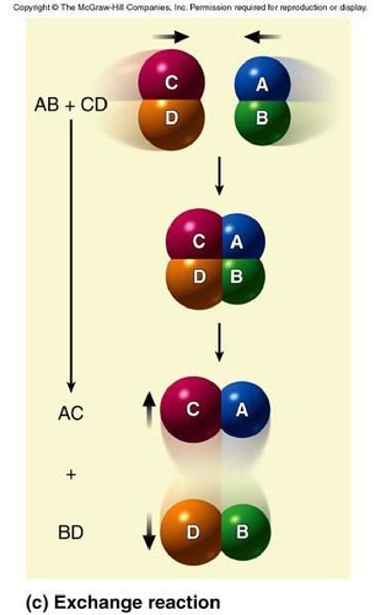 <p>Reactions where two molecules collide and exchange atoms or groups of atoms.</p>