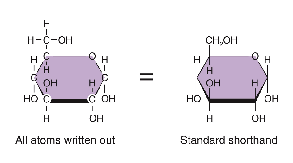 <p>a sugar molecule </p>