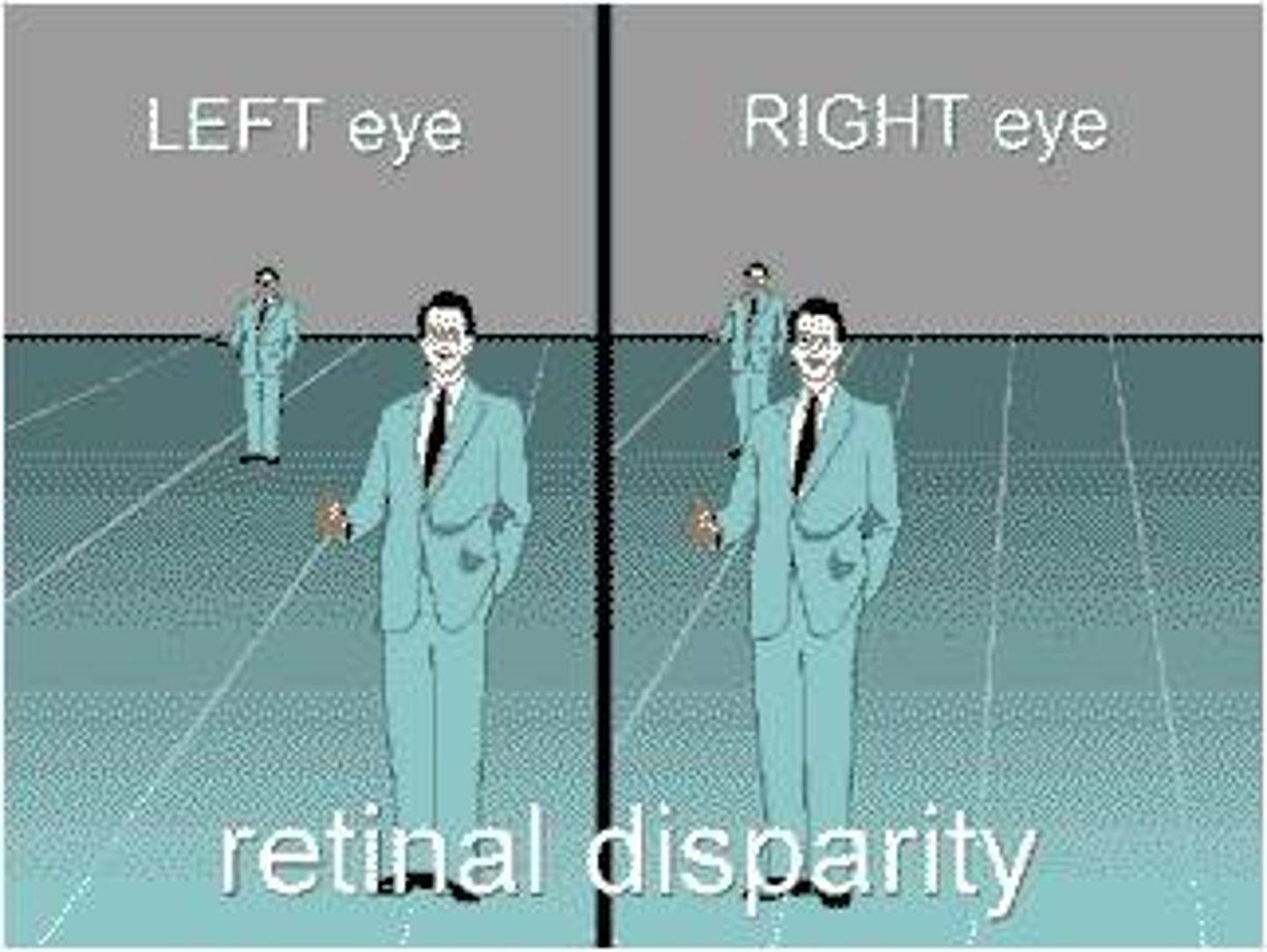 <p>Clues about distance based on the differing views of the two eyes</p>