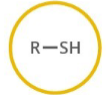 <p>Which functional group is shown? (R = rest of molecule, X = any halogen)</p>