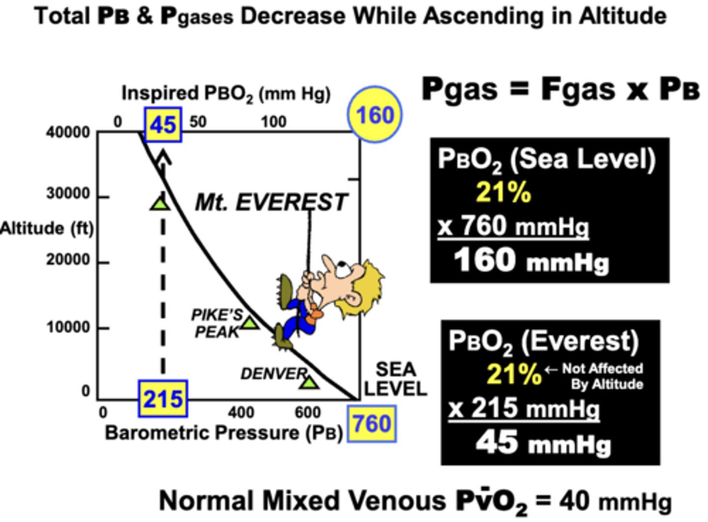 <p>Total PB and Pgases: decrease while ascending </p><p>Fgas: remains the unaffected by altitude</p><p>ex.</p><p>▪ At sea level → 760 mm Hg (PB) x 21% (FO2) = 160 mm Hg (PBO2)</p><p>▪ At Mt. Everest → 215 mm Hg (PB) x 21% (FO2) = 45 mm Hg (PBO2) (near PvO2 at sea level)</p><p>• This decrease or ‘thinning’ of PB and inspired PO2 largely account for the hypoxemia and breathing difficulties at high altitudes → causes the need for supplemental O2 at very high altitudes</p>