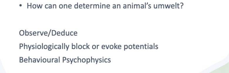 <p>-you can train an animal to tell us what they sense</p><p>-ask them! </p><p>-test them</p><p>-physiology</p><p>-see how they response to stimuli </p>