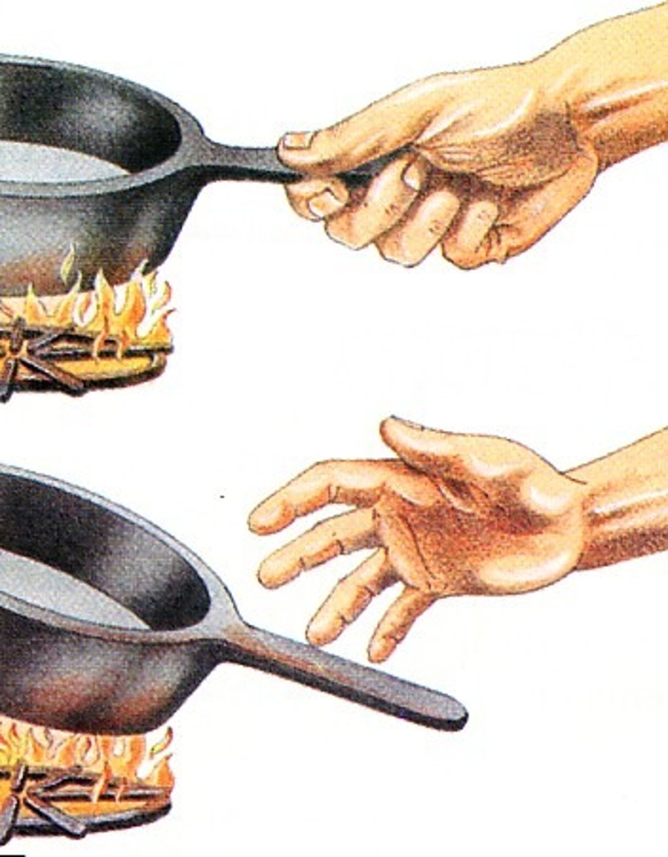 <p>Ability to sense and react to stimuli</p>