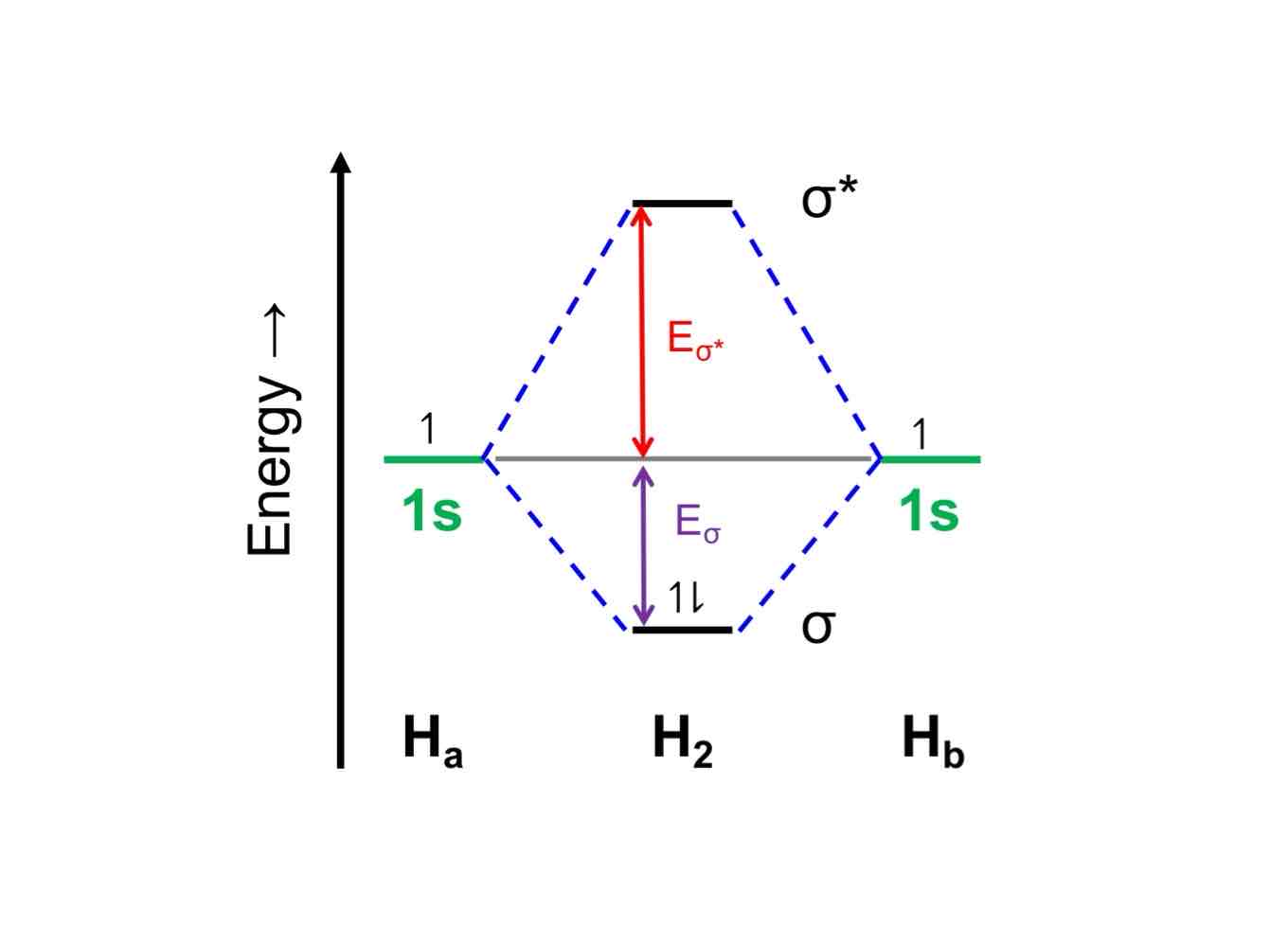 <p>Repulsion between two positively charged nuclei being brought together with no electrons in between to mitigate.</p>