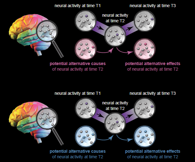 <p>What theory does this image and framework show</p>