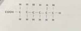 <p>the molecule illustrated in the above figure</p>