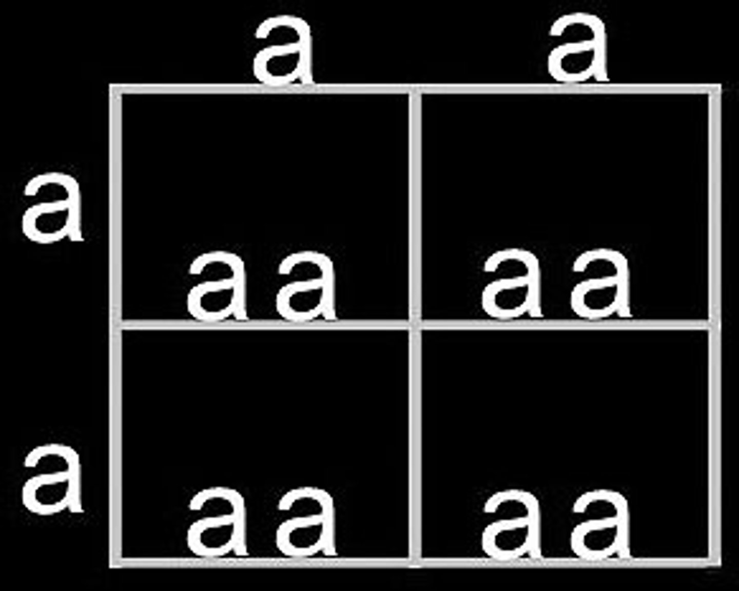 <p>When there are two identical alleles for a trait. Same letters</p>
