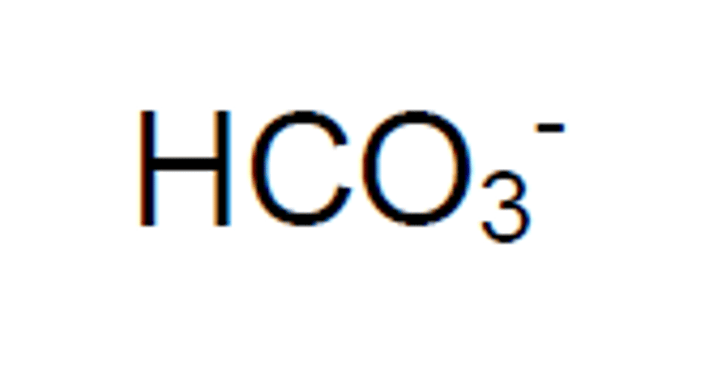 <p>name?</p>