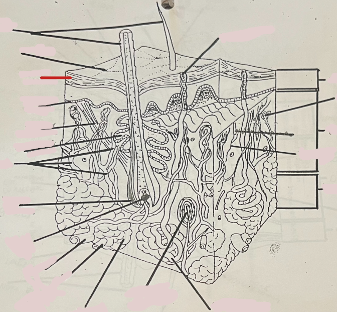 <p>What is this?</p>
