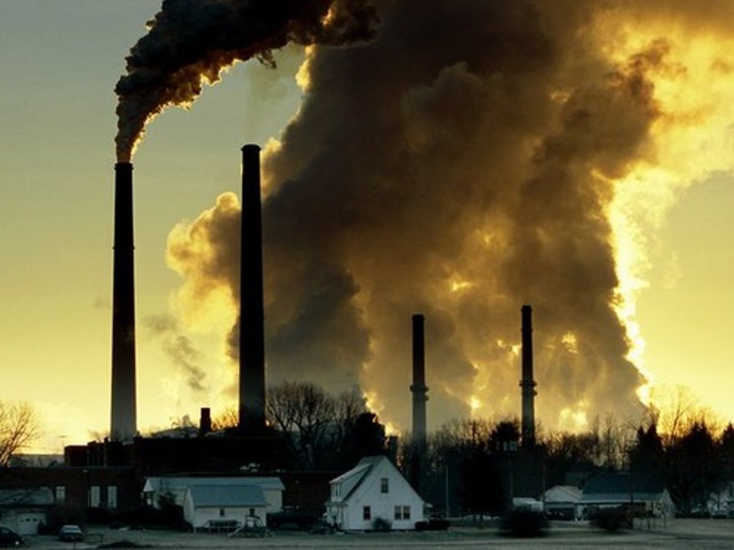 <p>polluted</p>