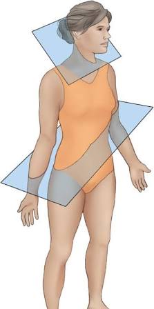<p>Passes through the body at an angle </p>