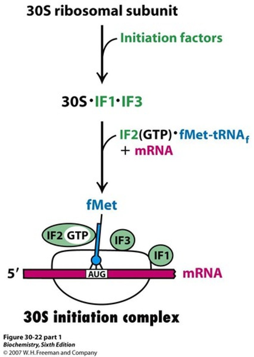 <p>Complex formed by 30S subunit and initiation factors.</p>