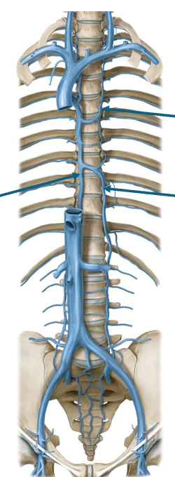 <p>? right to left top to bottom </p>