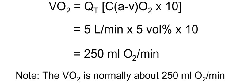 <p>about 250 mL O2/min </p>