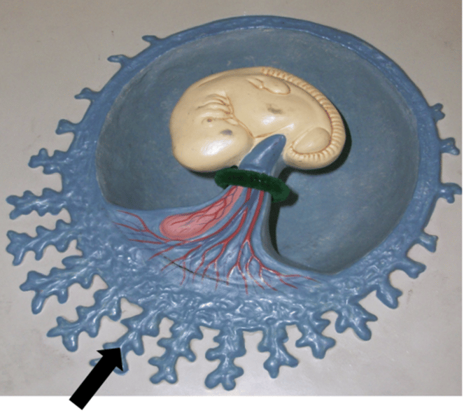 <p>Name the structure</p>