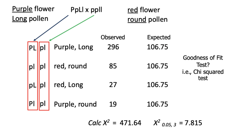 calculated/observed chi value is incredible different from the critical value - reject the null hypothesis