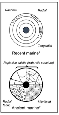 <p>Spherical grains with concentric layers surrounding the nucleus </p><p>&lt;2mm</p><p>Usually marine</p><p>High energy environments </p>