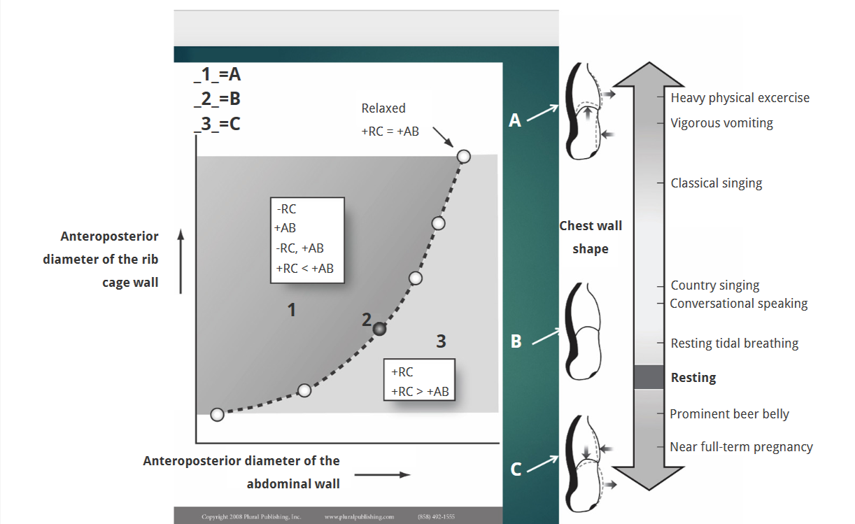 <p>Conversational speech requires relatively equal contributions of chest and abdominal wall displacement.</p>