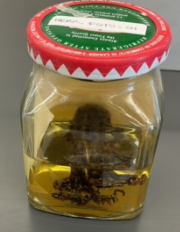 <p>Anaxyrus fowleri</p><p>Fowler's toad</p><p>Endagered</p><p>Family Bofonidae</p><p>Grey, tan, brown, grey colour</p><p>Brown or black flecks and spots</p><p>Within each large black spot on the back there are 3 warts present</p><p>Paratoid gland is present behind eye</p><p>Belly is white or cream with no or little grey marking</p>